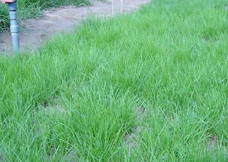 1642757244412920.jpg 1642757244412920.jpg