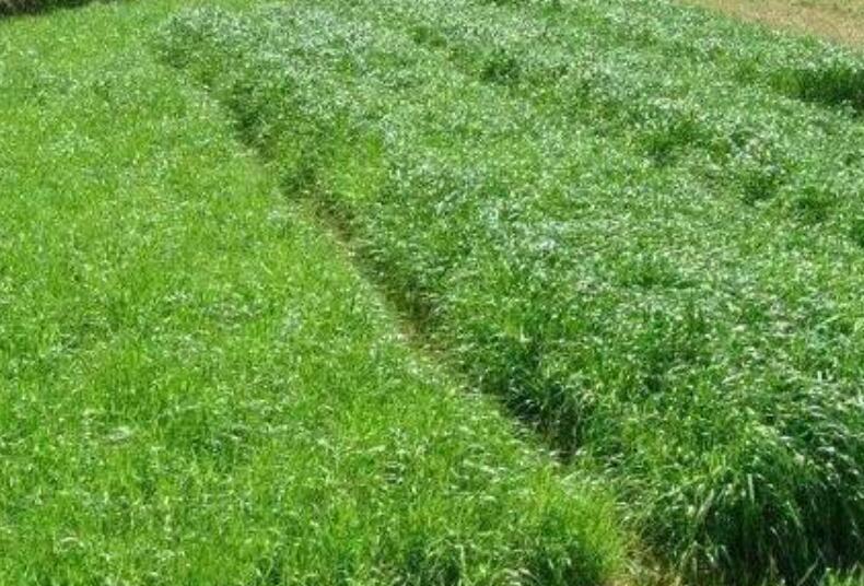 1642757580413019.jpg 1642757580413019.jpg