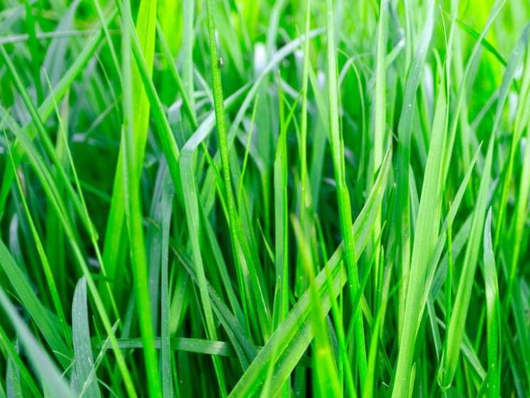 1642762145910527.jpg 1642762145910527.jpg