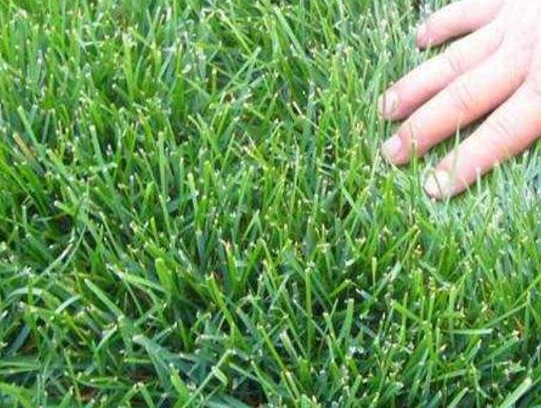 1642762154557752.jpg 1642762154557752.jpg