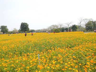 1642846910214868.jpg 1642846910214868.jpg