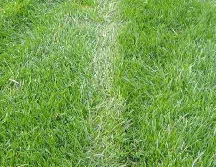 1643182297930685.jpg 1.jpg