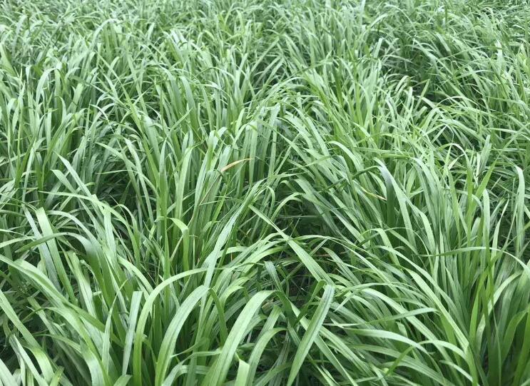 1643182306430267.jpg 2.jpg