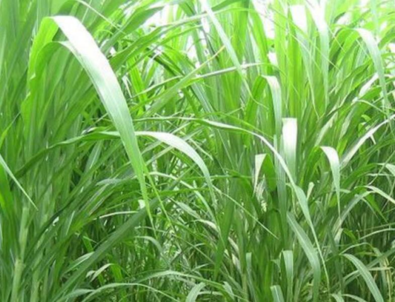 1643183575995043.jpg 1643183575995043.jpg