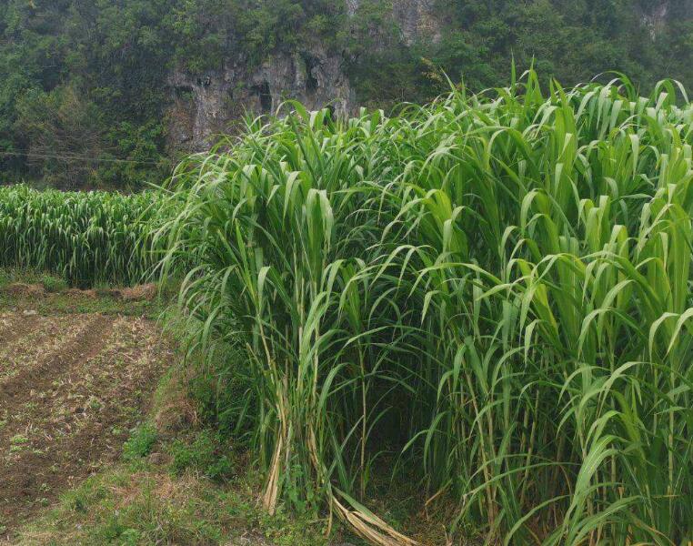 1643183587872041.jpg 1643183587872041.jpg