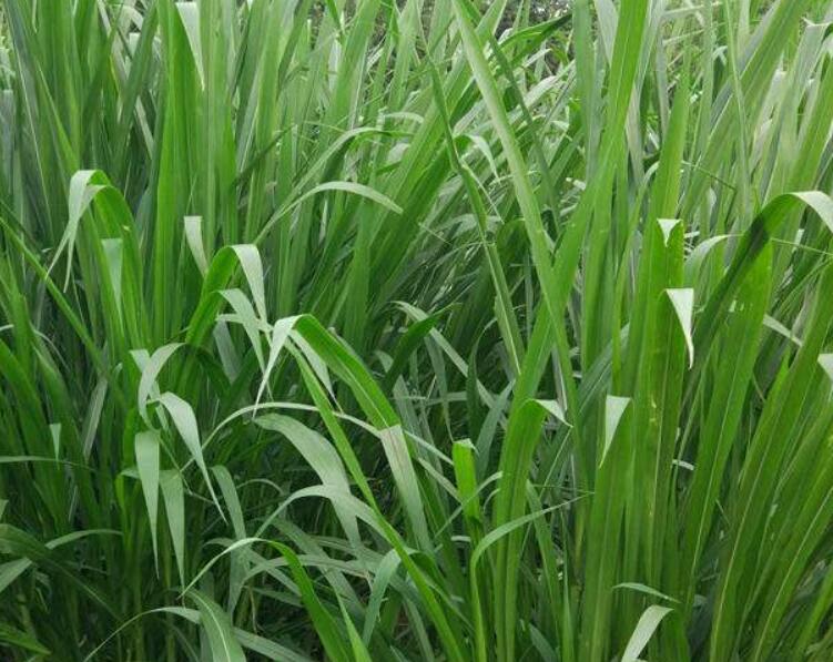 1643270376712174.jpg 1643270376712174.jpg