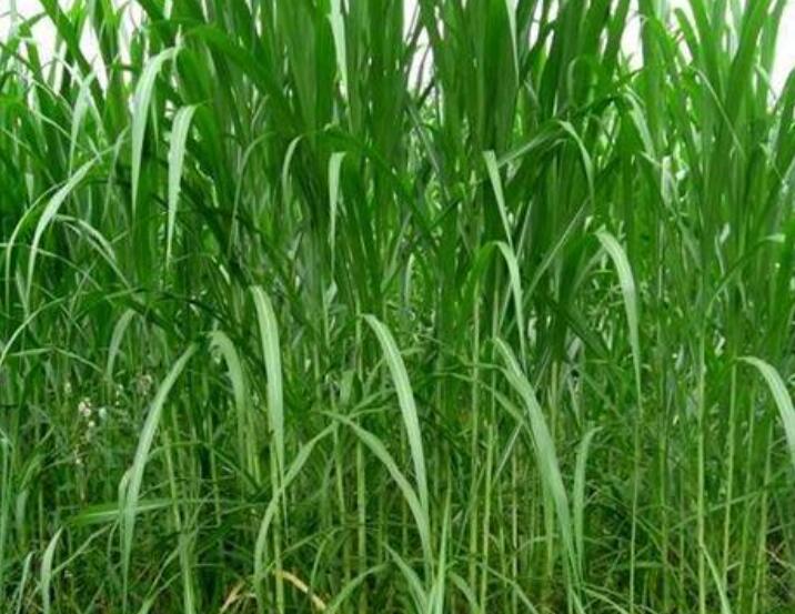 1643270385834661.jpg 1643270385834661.jpg