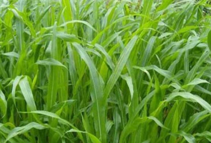 1643359328485940.jpg 1643359328485940.jpg