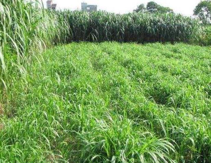 1643359337169967.jpg 1643359337169967.jpg