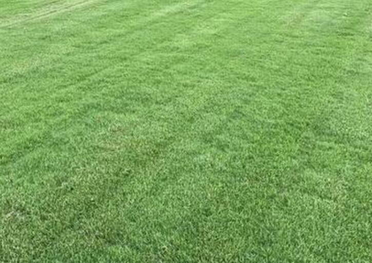 1643543328589506.jpg 1643543328589506.jpg