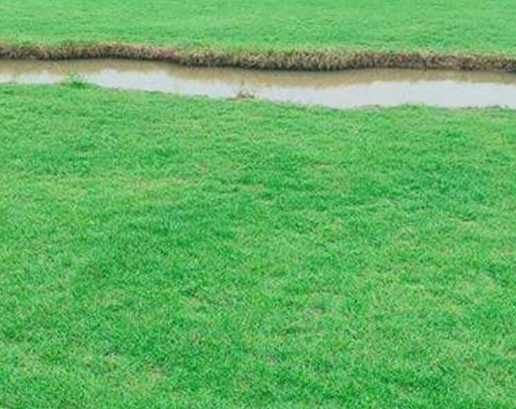 1643543346313760.jpg 1643543346313760.jpg