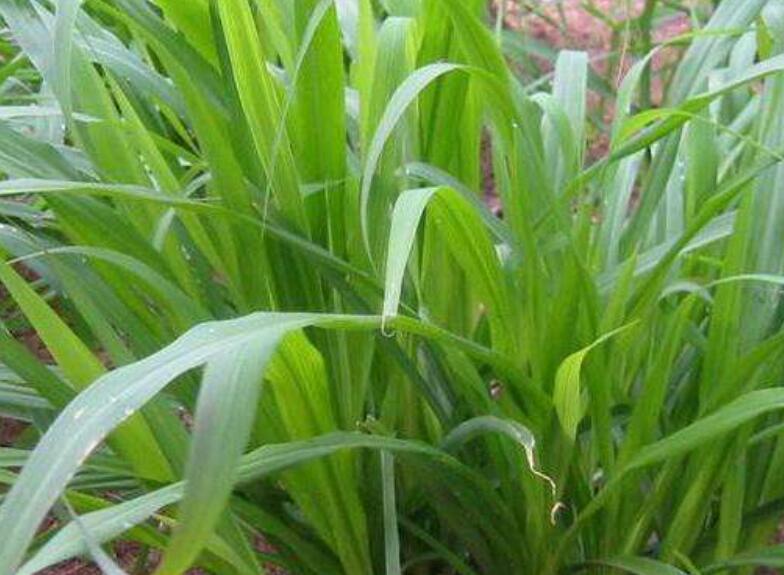 1643544382479746.jpg 1643544382479746.jpg