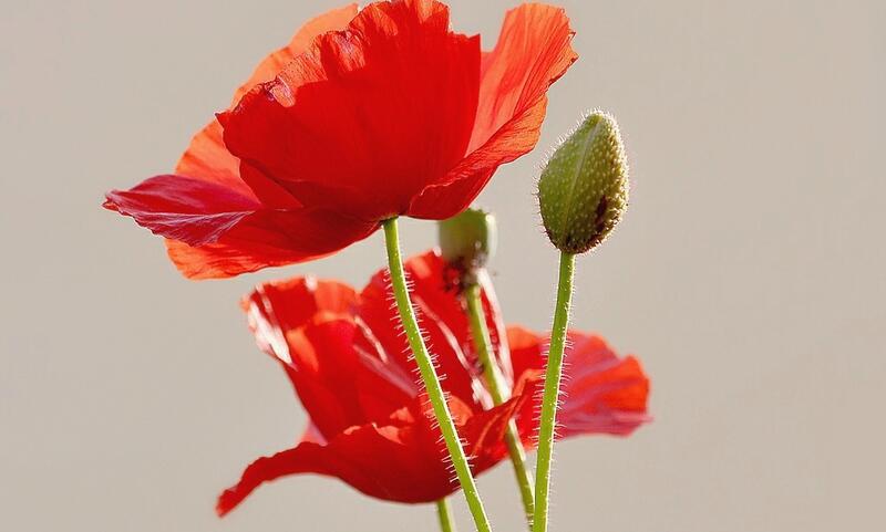 1644077794109913.jpg 1644077794109913.jpg