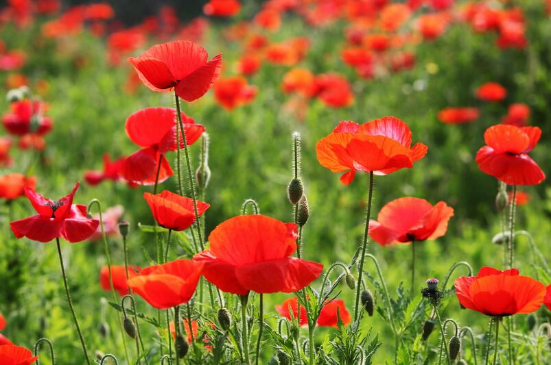 1644077794959014.jpg 1644077794959014.jpg