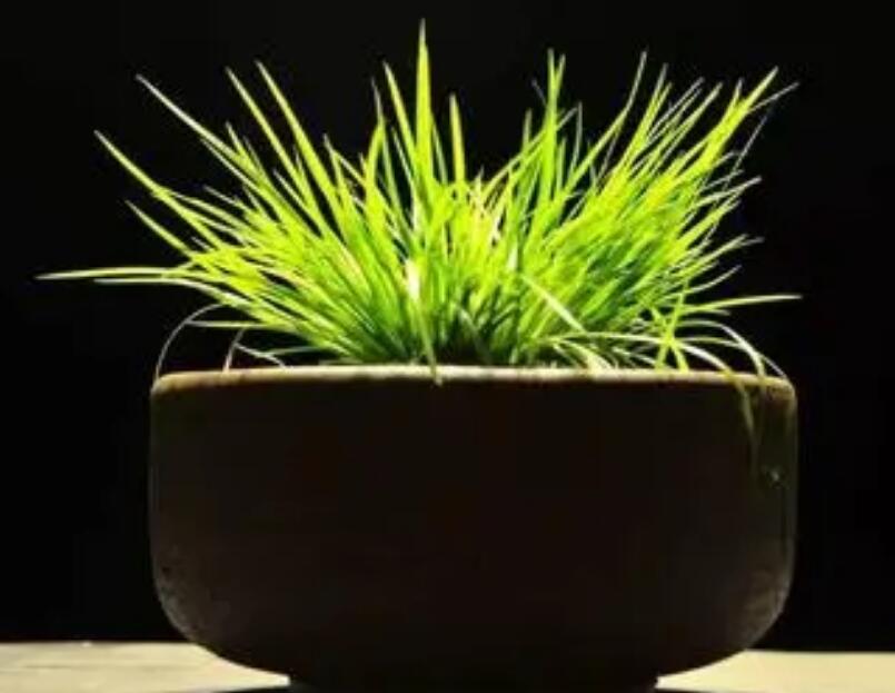 1644120097422305.jpg 1644120097422305.jpg