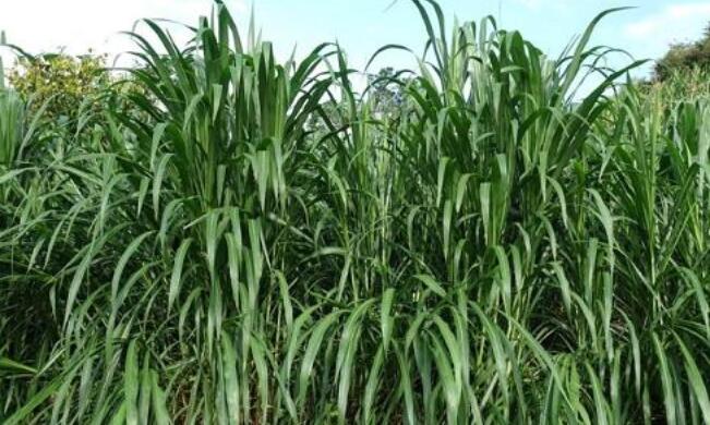 1644239175173439.jpg 1644239175173439.jpg