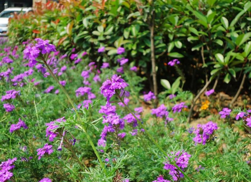 1644240361669325.jpg 1644240361669325.jpg