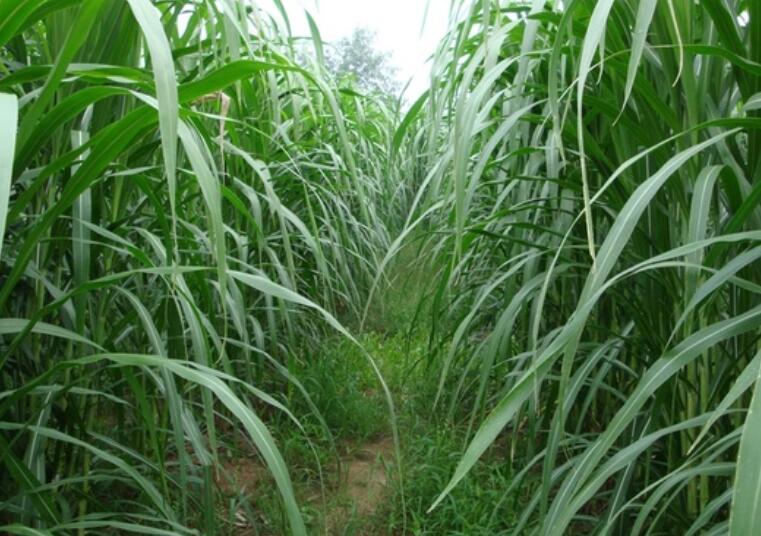 1644574643312069.jpg 2.jpg