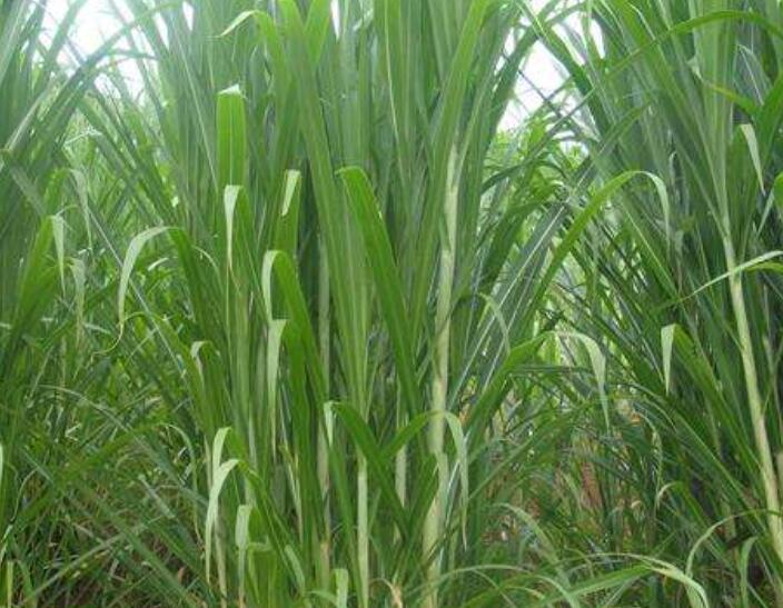 1644576763719639.jpg 1644576763719639.jpg