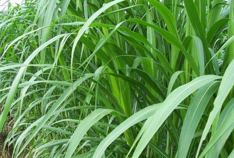 1644583223255927.jpg 3.jpg