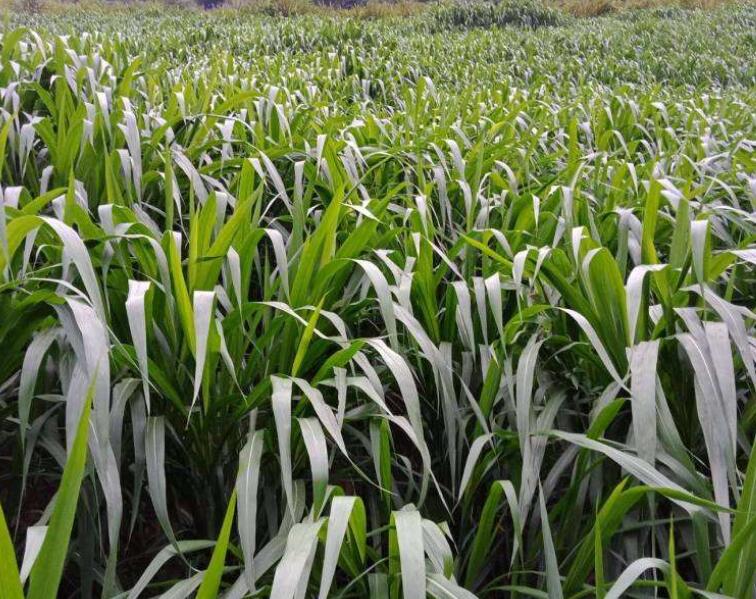 1644583797933589.jpg 1644583797933589.jpg