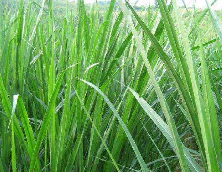 1644669699931382.jpg 1644669699931382.jpg