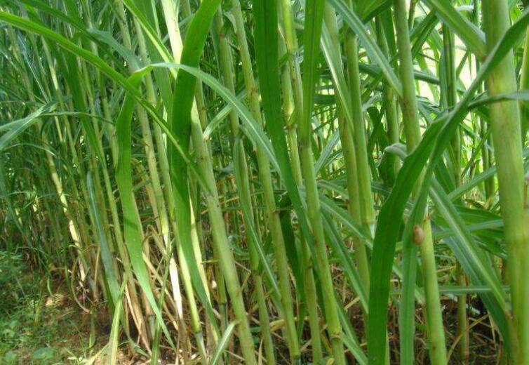 1644669707585419.jpg 1644669707585419.jpg