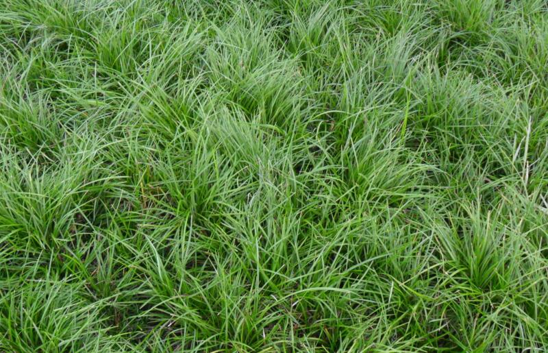 1644730147485698.jpg 1644730147485698.jpg