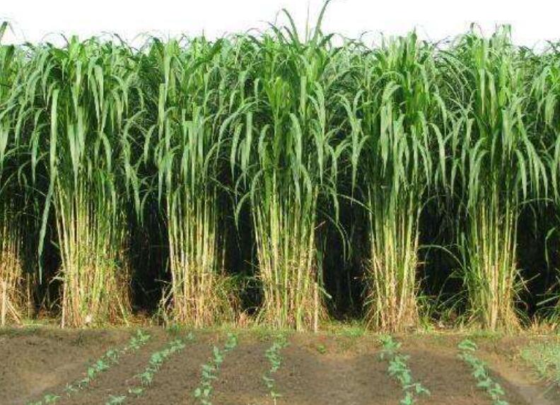 1644747783138578.jpg 1644747783138578.jpg