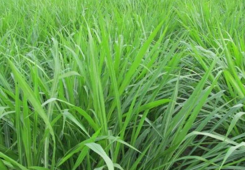 1644747791611460.jpg 1644747791611460.jpg