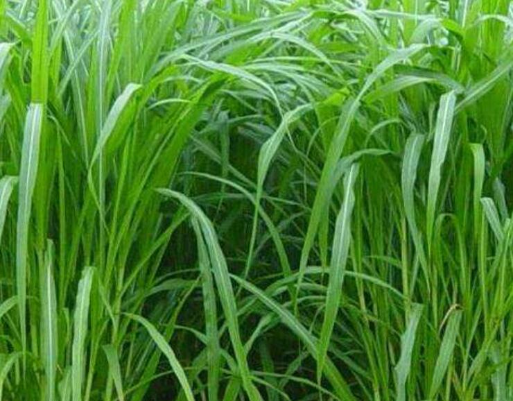 1644747800279144.jpg 1644747800279144.jpg