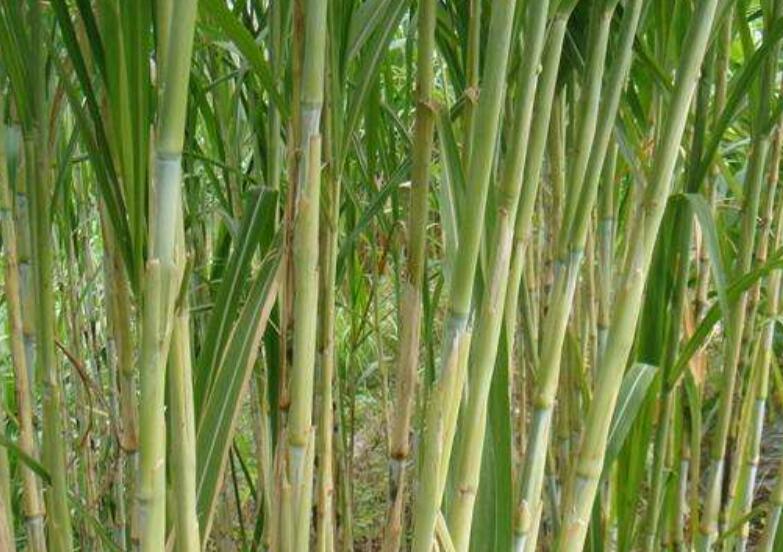 1645625608693148.jpg 2.jpg