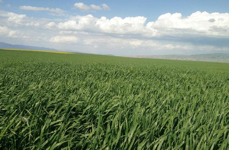 1645708122249269.jpg 3.jpg