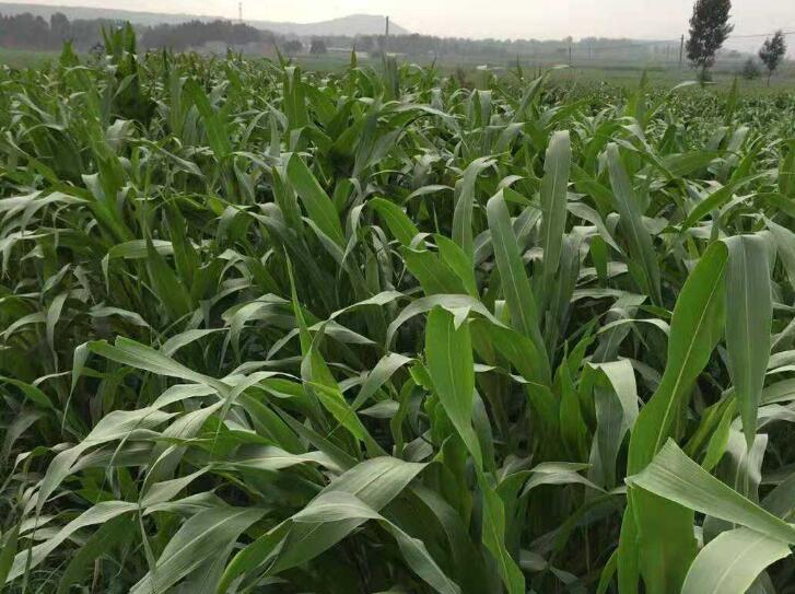 1645708436903853.jpg 1645708436903853.jpg