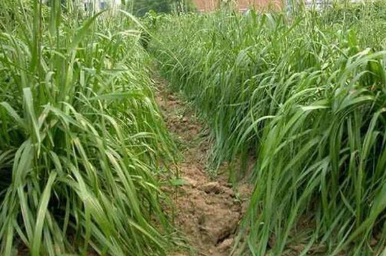 1645784960673940.jpg 3.jpg