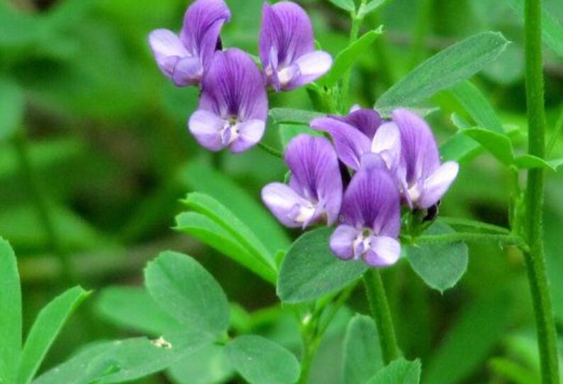 1645789608729947.jpg 1645789608729947.jpg