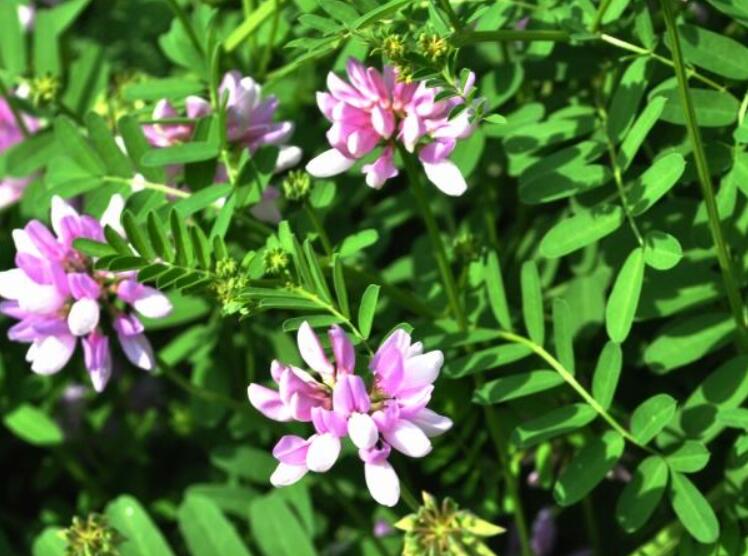 1645789620531210.jpg 1645789620531210.jpg