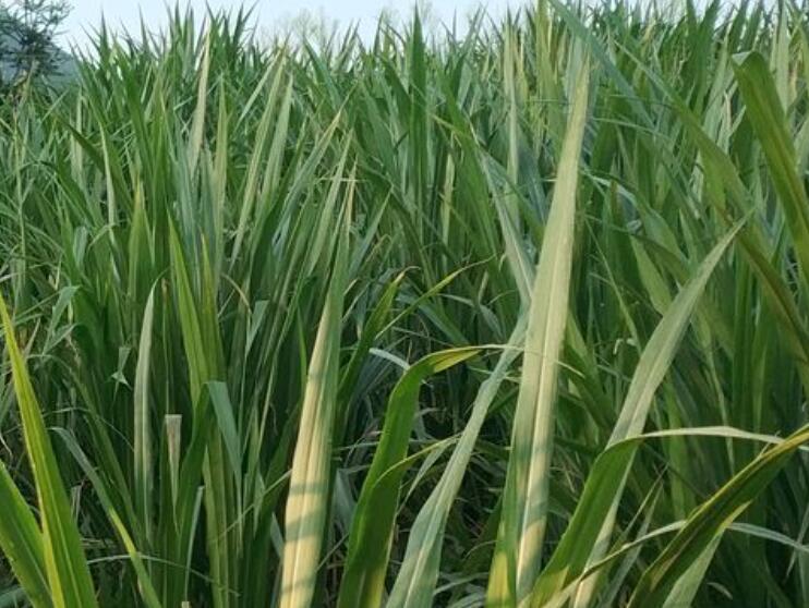 1645799317319801.jpg 3.jpg