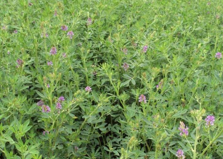 1645801108877859.jpg 1.jpg