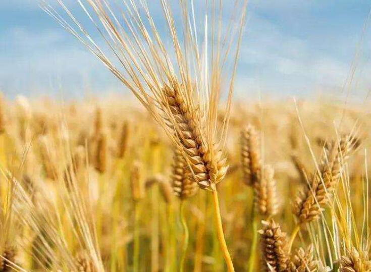 1646144825198203.jpg 2.jpg