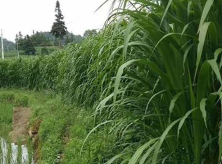 1646304692956088.jpg 1.jpg