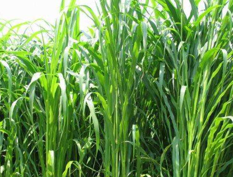 1646304699998666.jpg 2.jpg