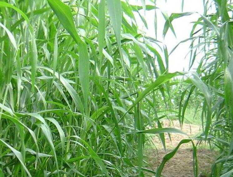 1646306872318667.jpg 1646306872318667.jpg