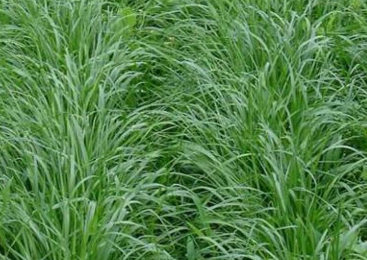 1646307180341949.jpg 1.jpg