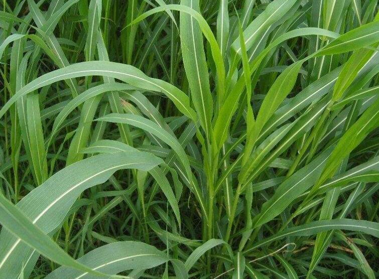 1646307864749996.jpg 1.jpg