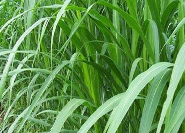 1646307875298268.jpg 2.jpg