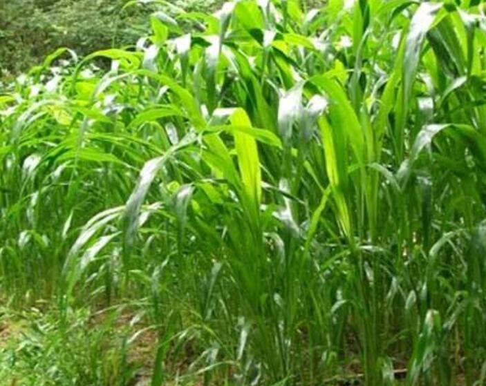 1646313432997698.jpg 2.jpg