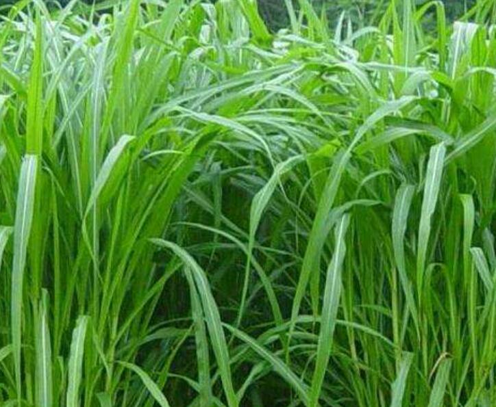 1646397477585902.jpg 2.jpg