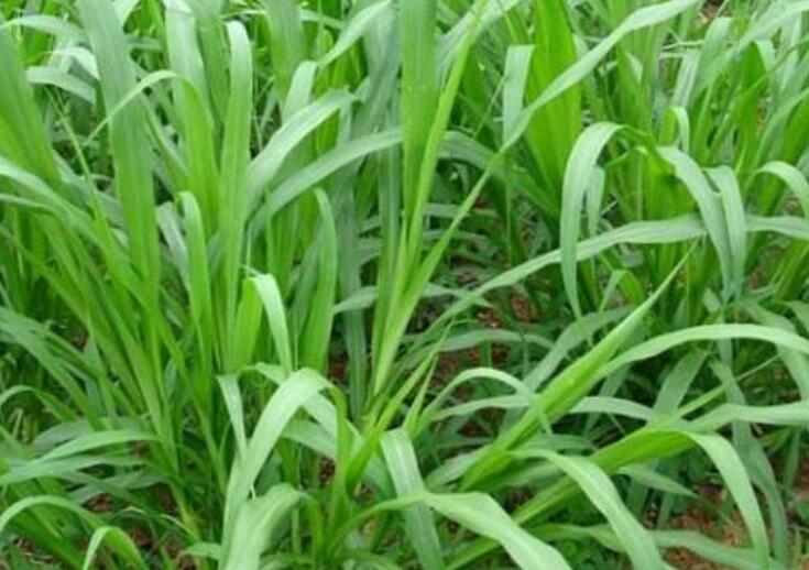 1646397487542602.jpg 3.jpg