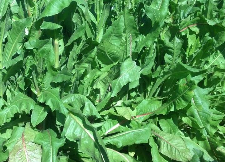 1646485764488310.jpg 3.jpg